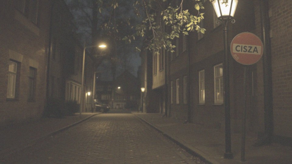 Jakie przepisy prawne regulują zakłócanie ciszy nocnej?