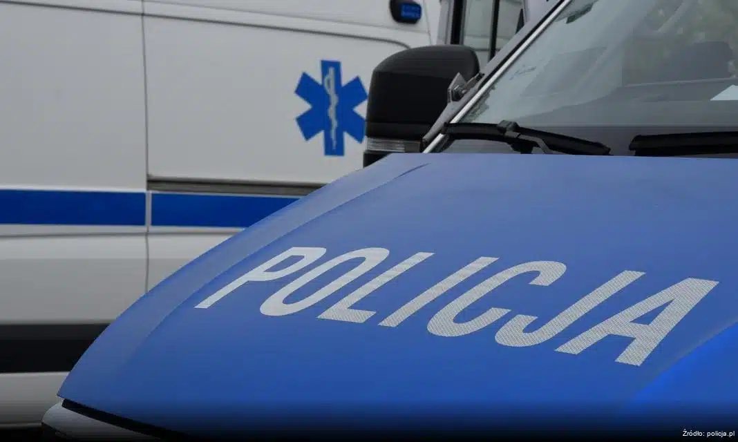 Nowa kampania społeczna „Ustal z Babcią hasło” ma na celu ochronę seniorów przed oszustami