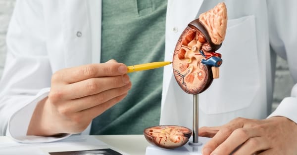 Urolog w Bielsku-Białej: dlaczego warto umówić się na wizytę kontrolną?