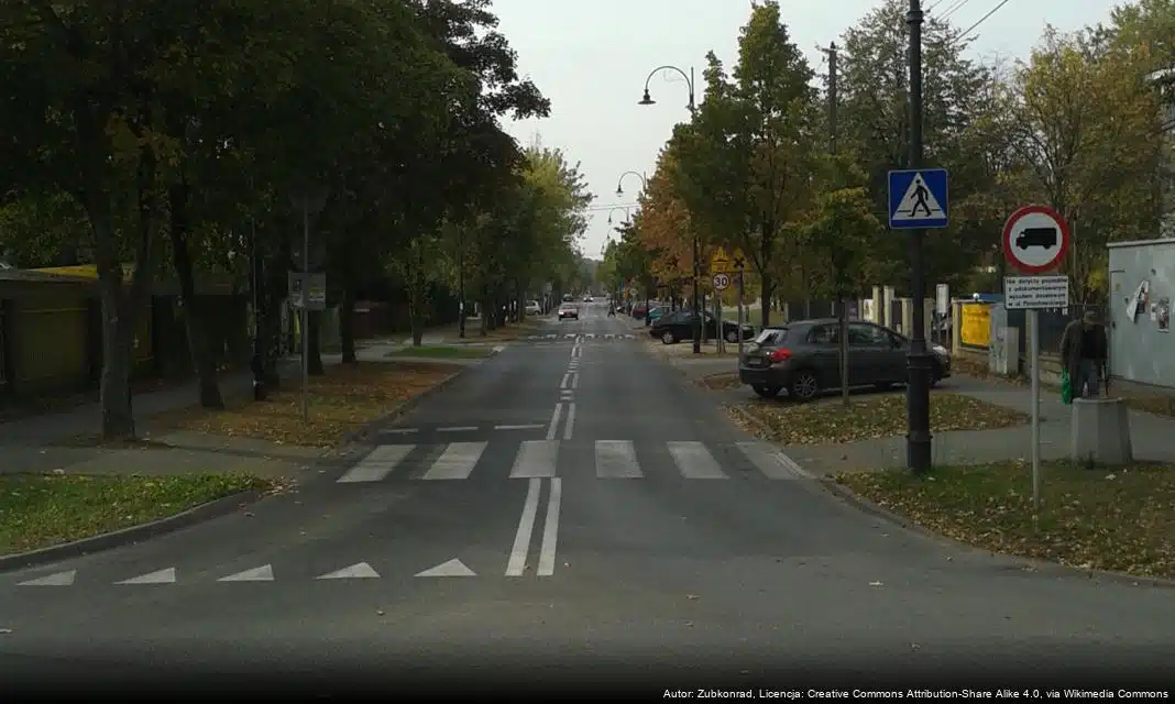 Wadowice świętują 235. rocznicę uchwalenia Konstytucji 3 Maja
