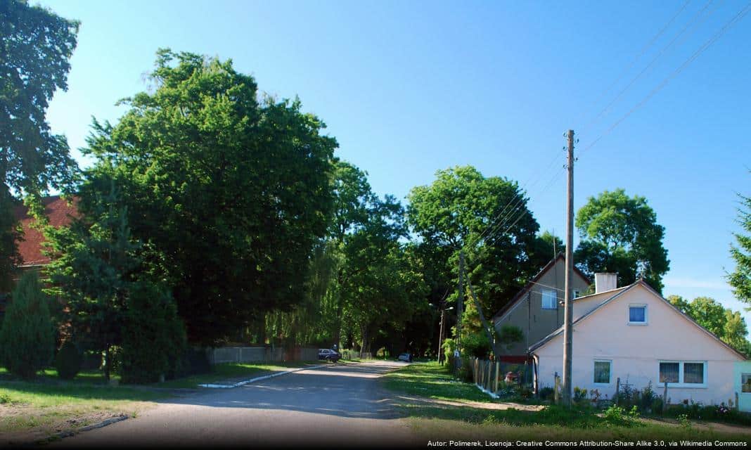 Metody poprawy czystości Wadowic